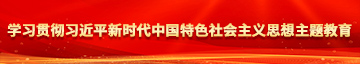 美女嫩白视频网站污污学习贯彻习近平新时代中国特色社会主义思想主题教育