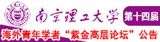 啊哼啊哈别插了射母乳南京理工大学第十四届海外青年学者紫金论坛诚邀海内外英才！